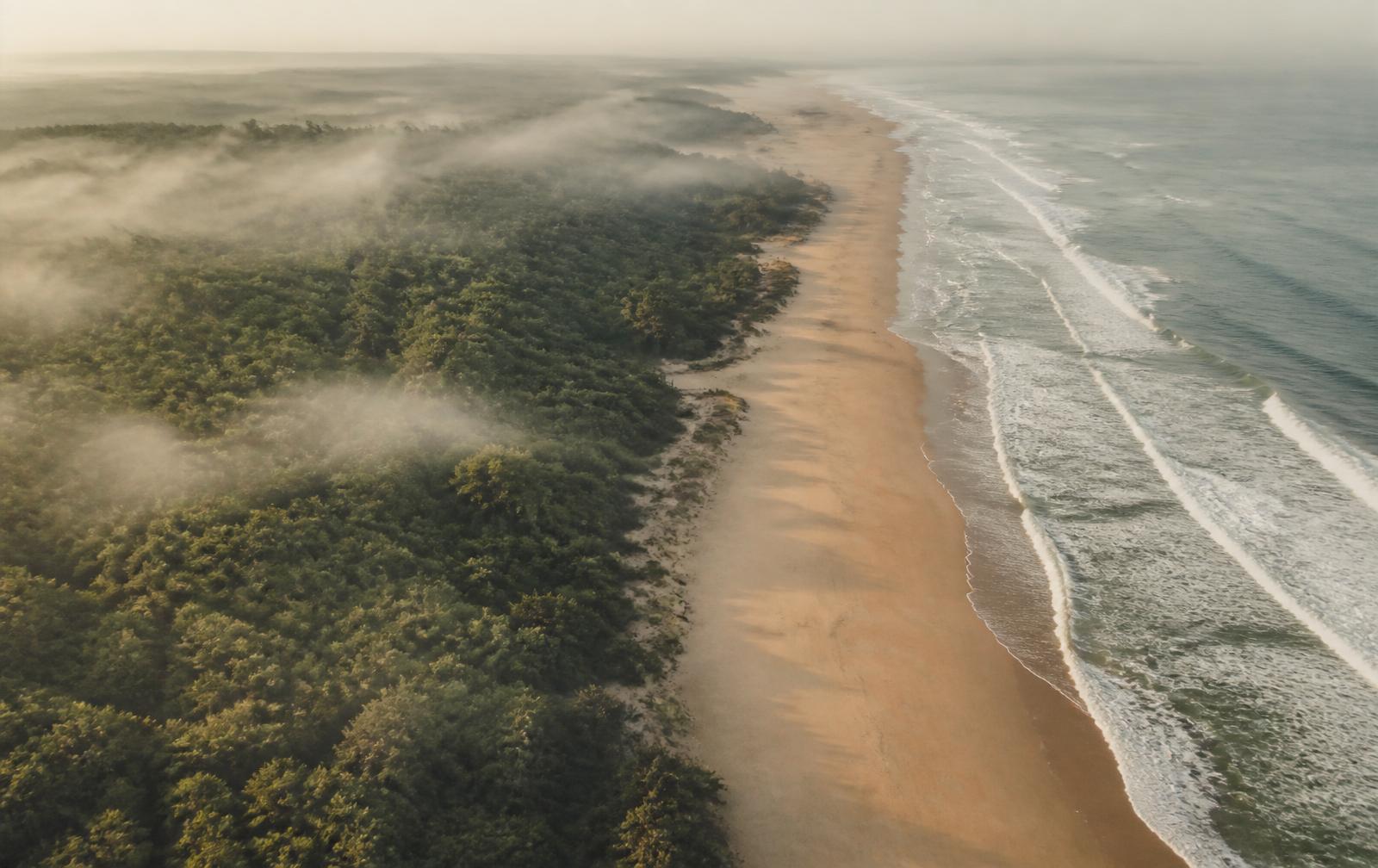 Vue aérienne de la côte landaise, pinède et océan Atlantique
